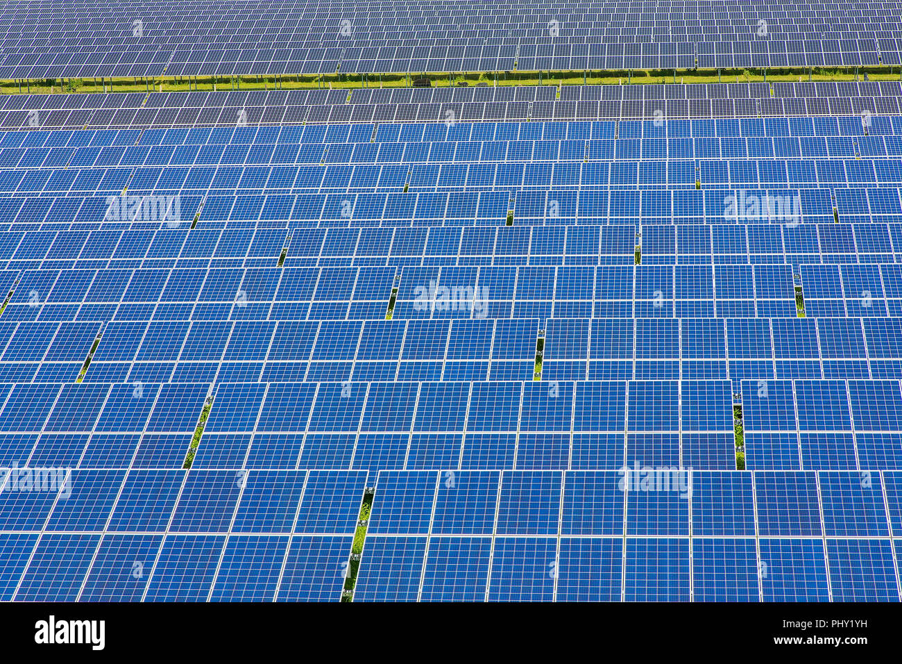 Large field with blue solar panels in Holland Stock Photo Alamy