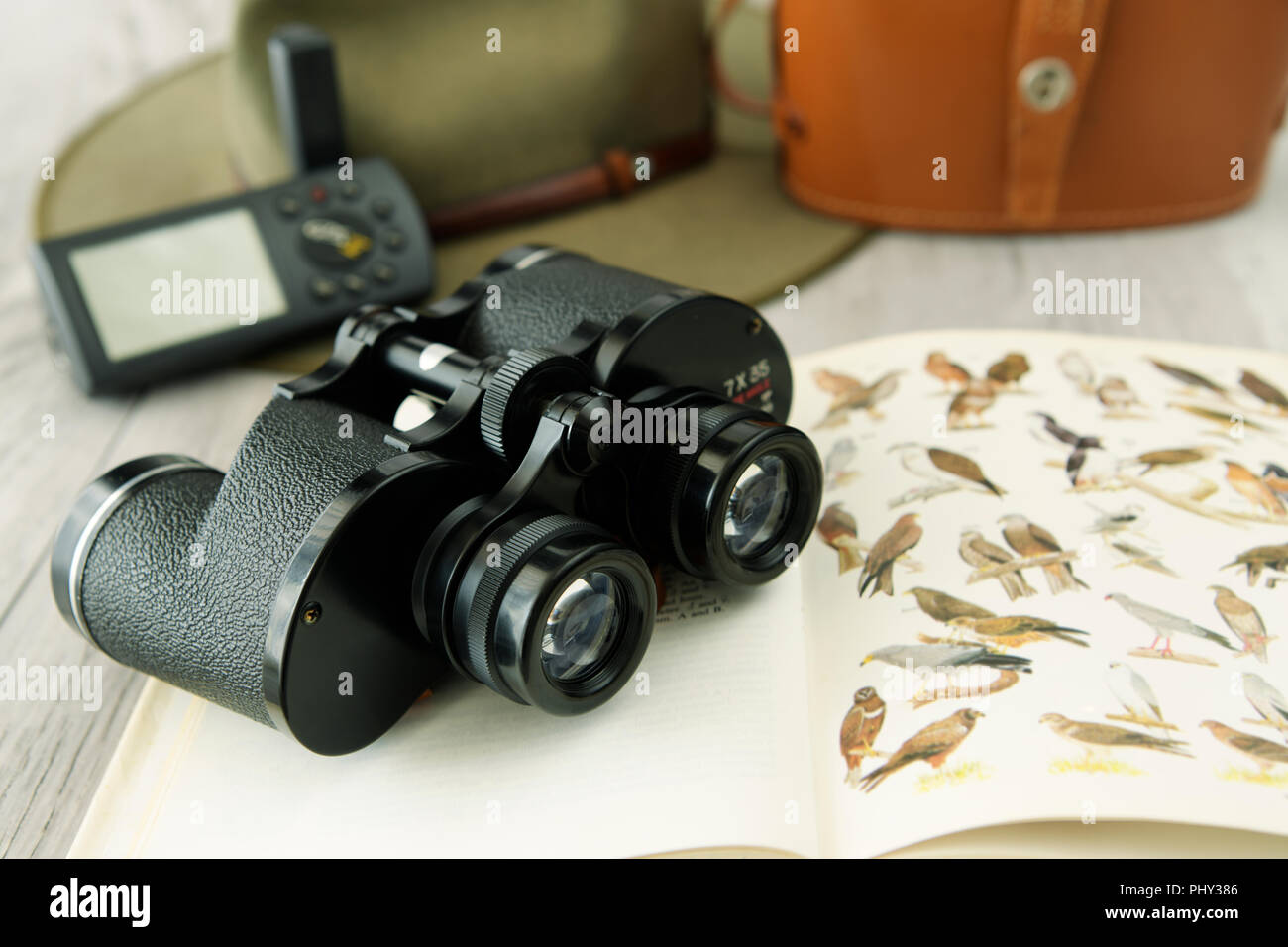 Close-up, detail, binoculars, bird watching identification book, African, Africa, wildlife, safari, birding, twitching Stock Photo