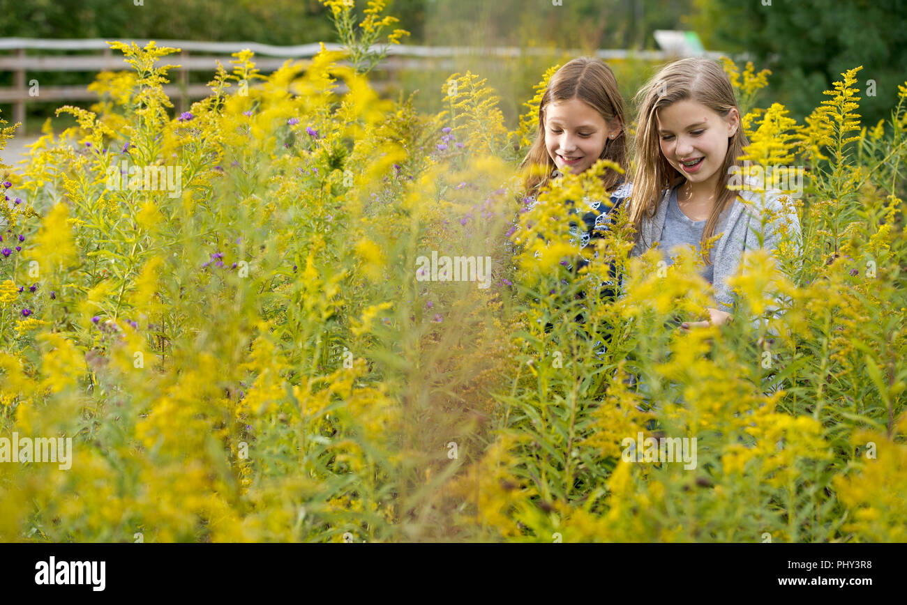 A pair of girls explore in a field of flowers while on a walk in a nature preserve. Stock Photo