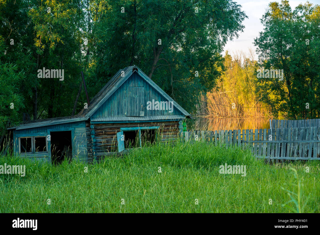 Old wooden abandoned house covered with green grass next to the lake ...