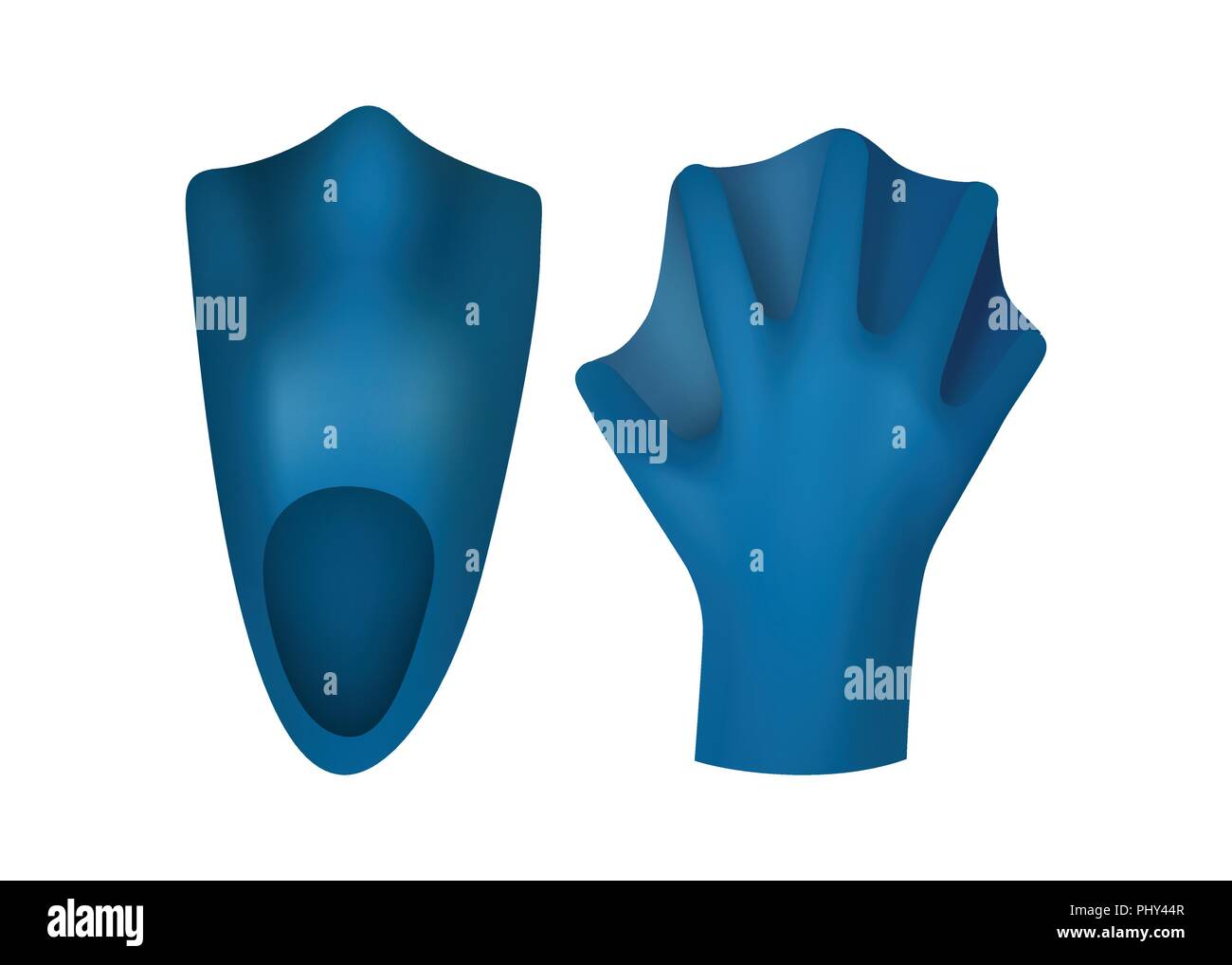 Fins and gloves for swimming. Blue. Sports equipment. Vector