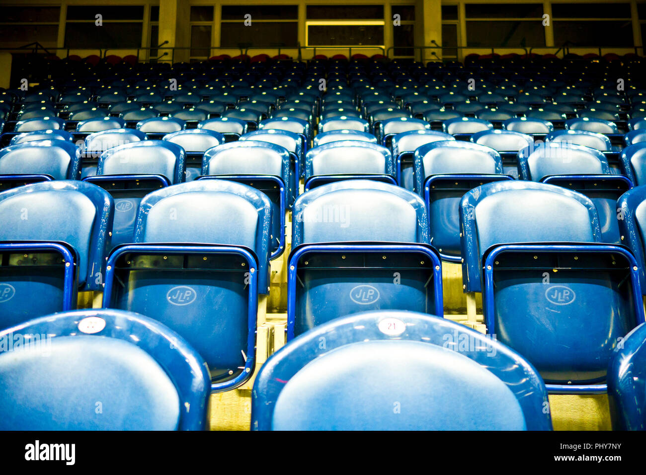 rows of empty blue seats in a stadium Stock Photo