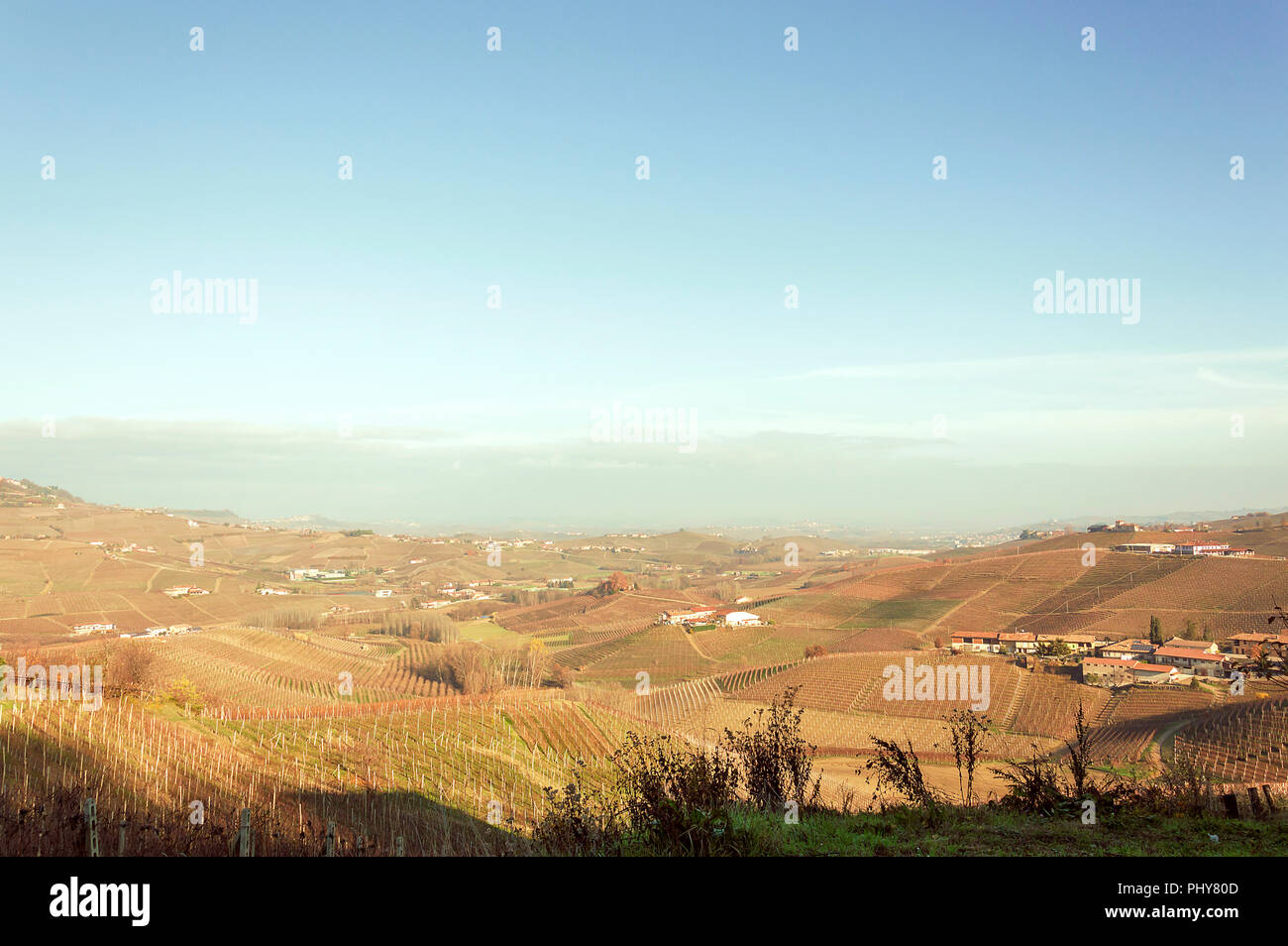 Scenic view of the freshly harvested grape fields in autumn in Barolo valley Stock Photo