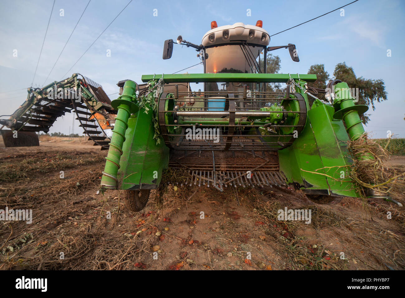 Single row selfpropelled tomato harvester at farmland site. Wide angle