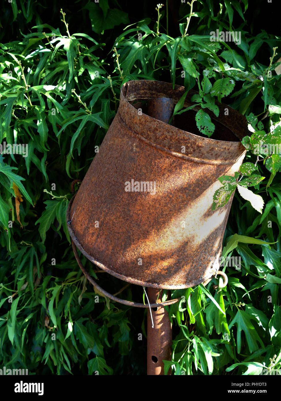 Theres a hole in my bucket at a private french house and garden, in summer Stock Photo