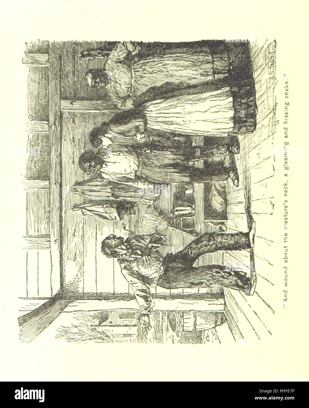 Image  from page 70 of 'Expiation. [A novel.]  Illustrated by A. B. Frost' . Stock Photo