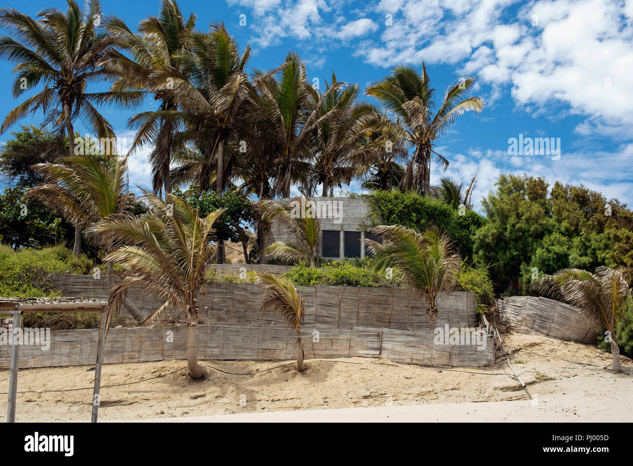 Beach bungalow and palm trees. Las Pocitas beach. Mancora, Piura region, Peru. Aug 2018 Stock Photo