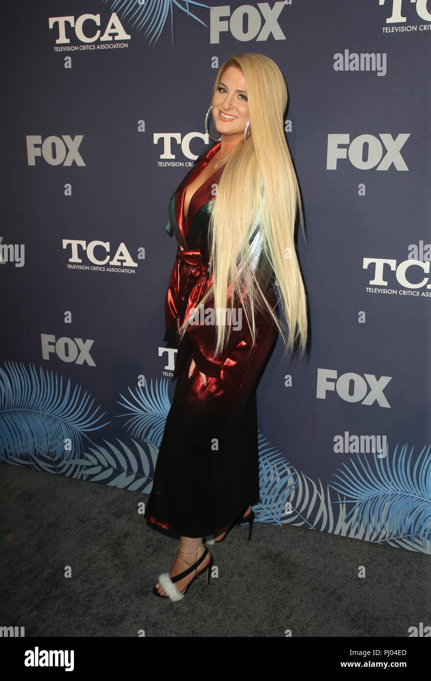 Meghan Trainor Cocktail Dresses