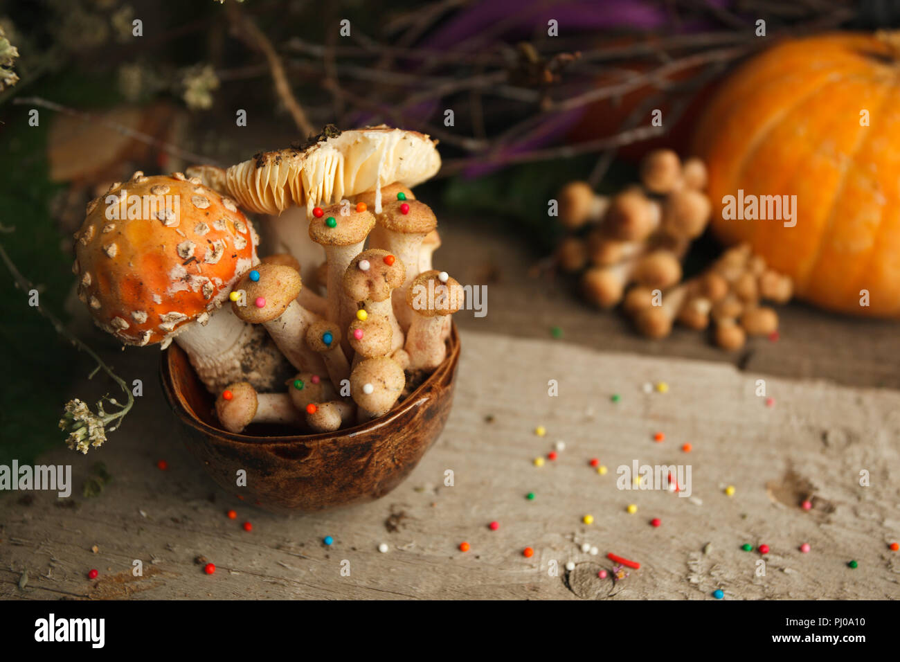 Magic fairytale party table decor, mushroom with confectionary in cup on wooden background, poison toxic food, halloween holiday Stock Photo
