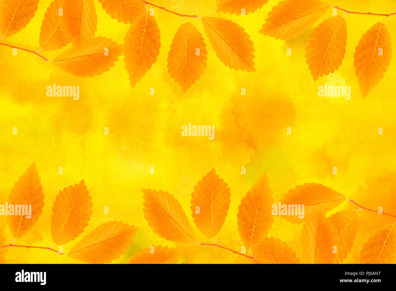 Fall Texture Yellow Yellow autumn leaves and branches on a watercolour background, vibrant ...