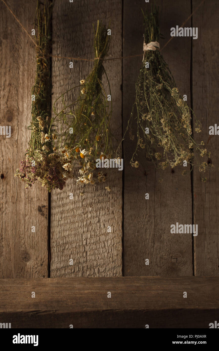 healing herbs on wooden wall, dried plants, herbal medicine, rustic style Stock Photo