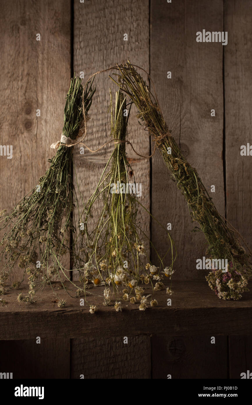 Variety of dried herbs hanging on a rope, dried plants, herbal medicine Stock Photo