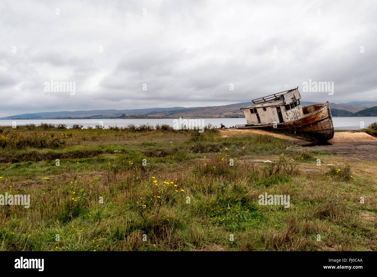 The Point Reyes abandoned shipwreck along the shore of Tomales Bay at Inverness, Point Reyes National Seashore, California. Stock Photo