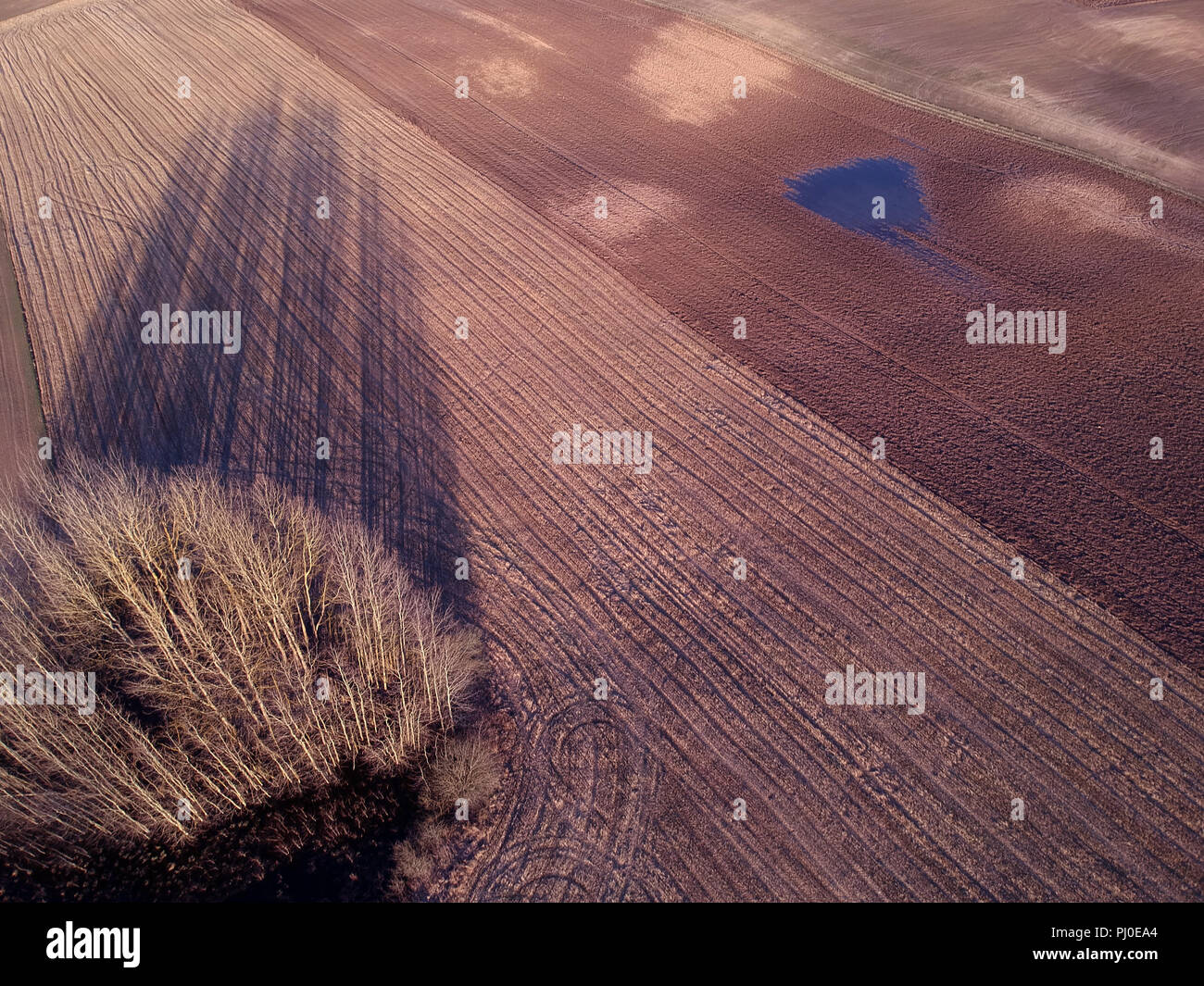 Early Spring Wet Farmland Fields With Stubble And Evening Shadow Aerial View Stock Photo Alamy