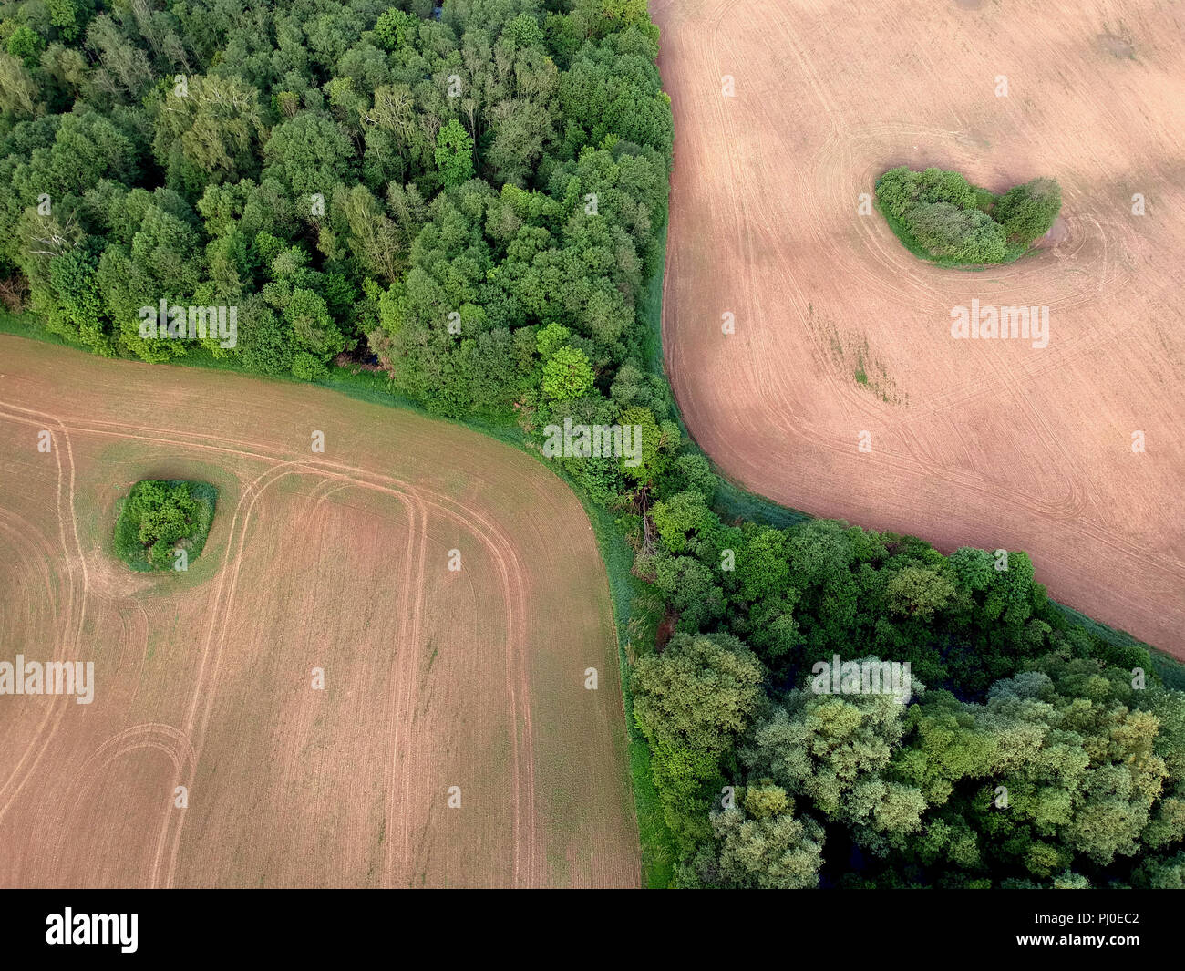 Agriculture farm cultivated fields and forest in spring, aerial view Stock Photo