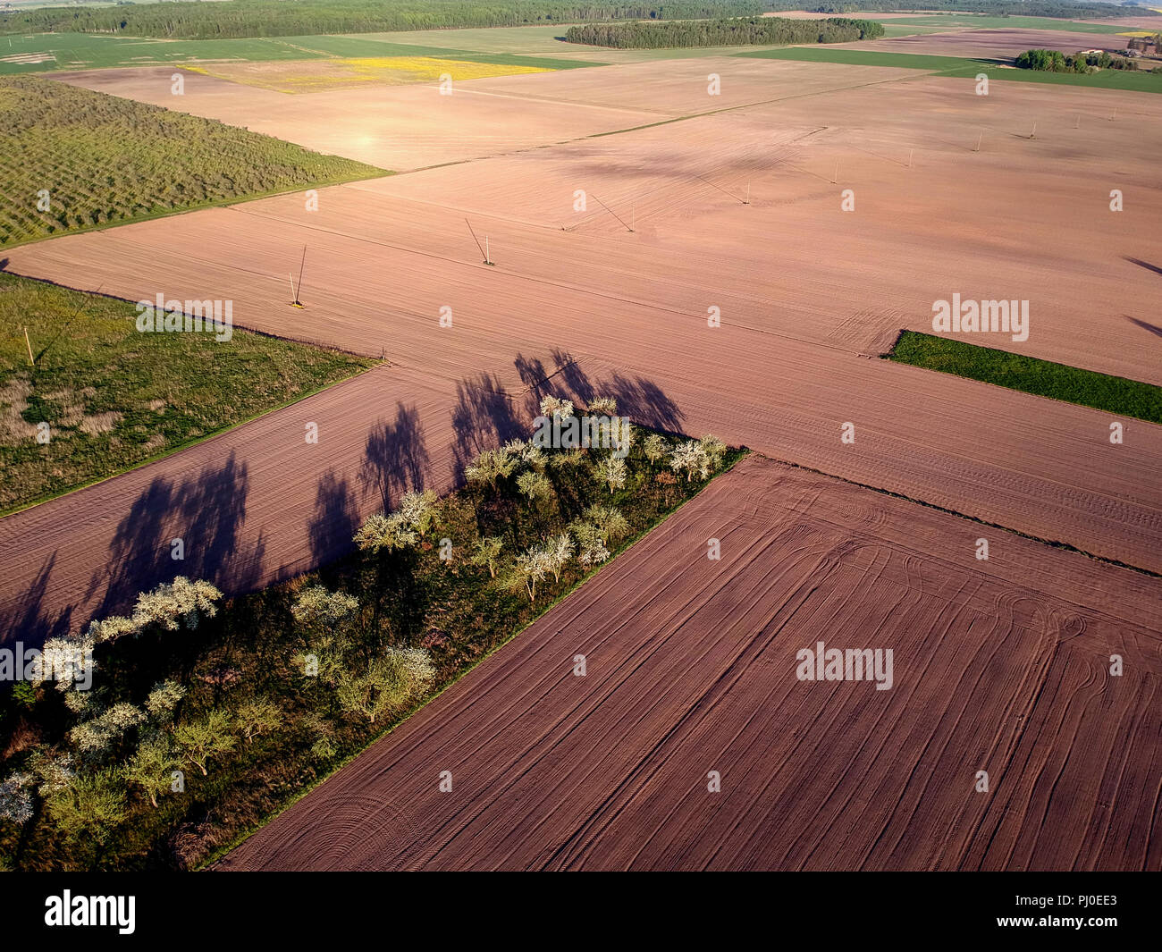 Blossoming spring apple tree garden and cultivated agriculture fields ...