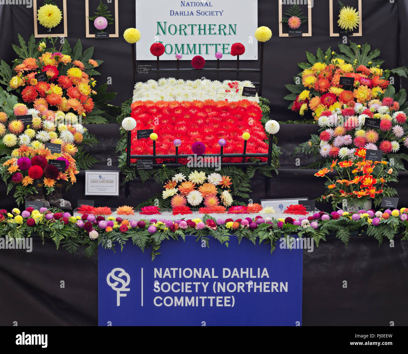 Prize winning display by the National Dahlia Society Northern Commitee at the 2018 Southport Flower Show. Stock Photo