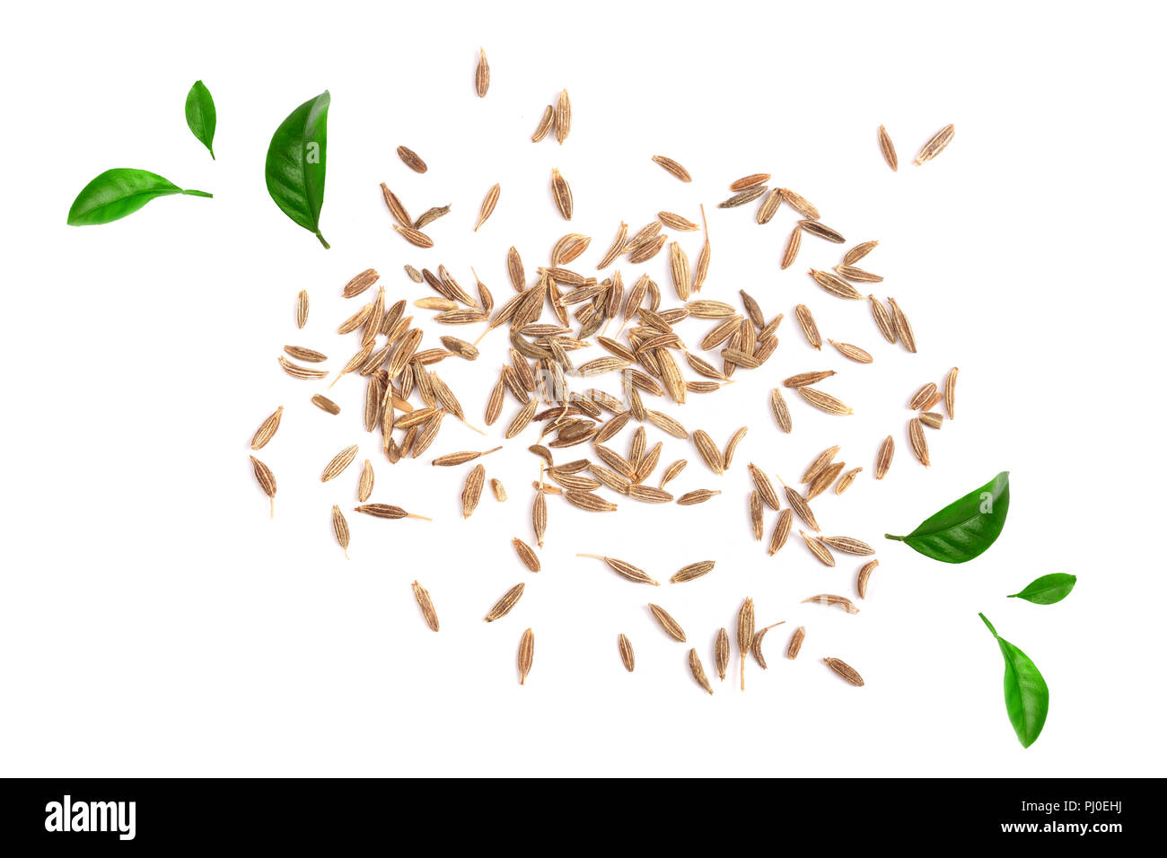 Cumin seeds or caraway decorated with green leaves isolated on white