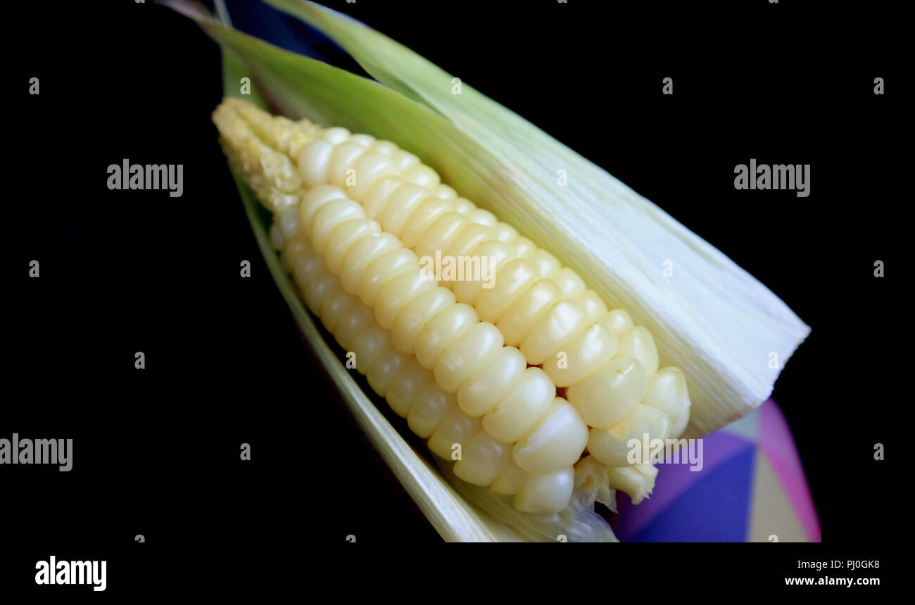 Choclo hires stock photography and images Alamy