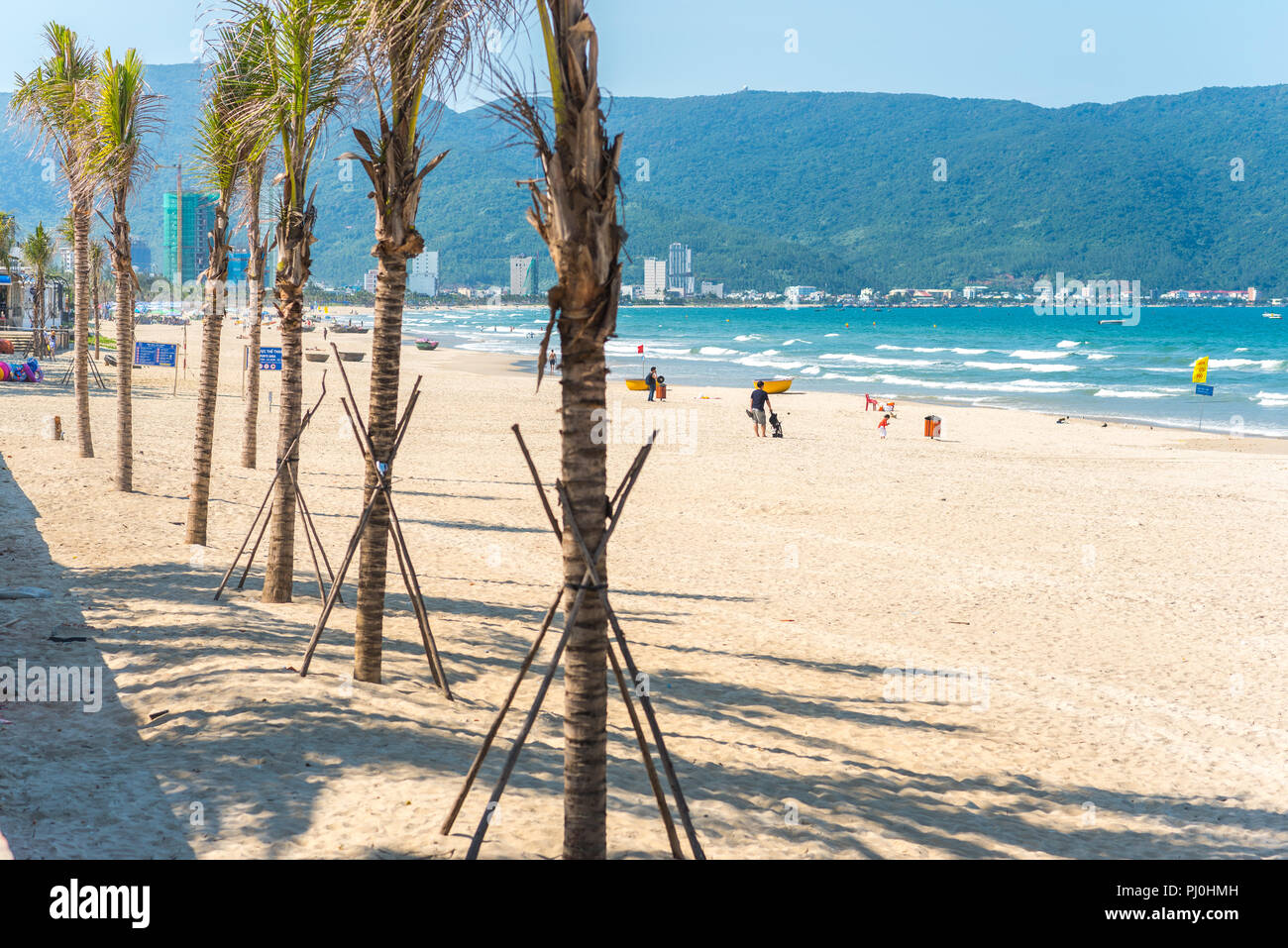 Da Nang, Vietnam - May 7, 2018: a row of unhealthy young palm trees along My Khe Beach. Stock Photo