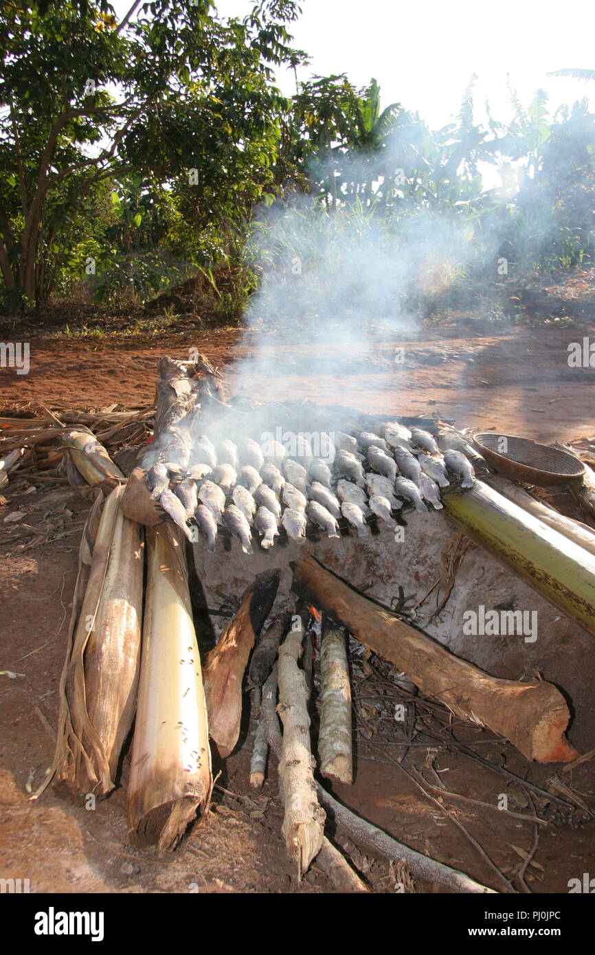 Nile perch hires stock photography and images Alamy