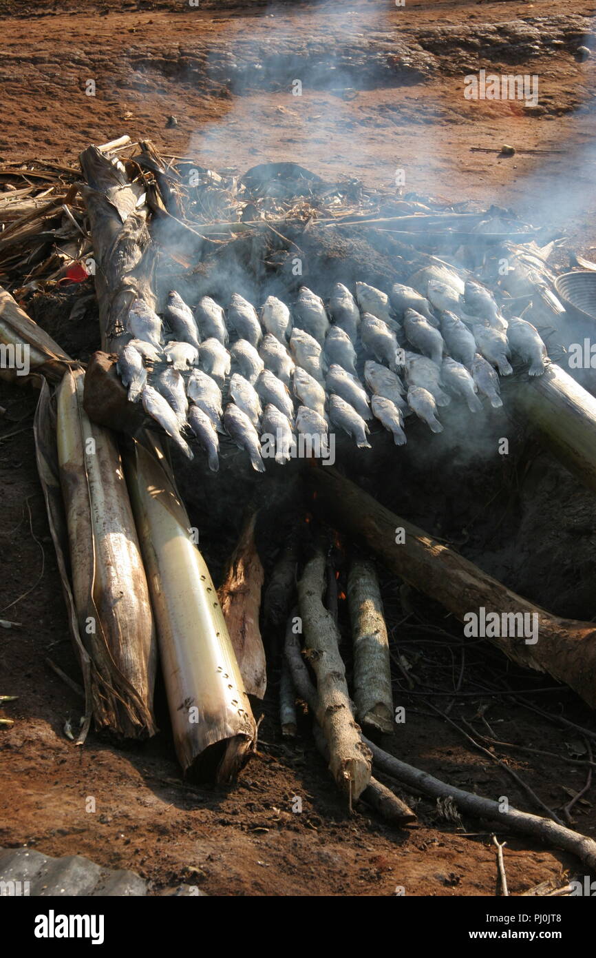 Nile perch fish hires stock photography and images Alamy