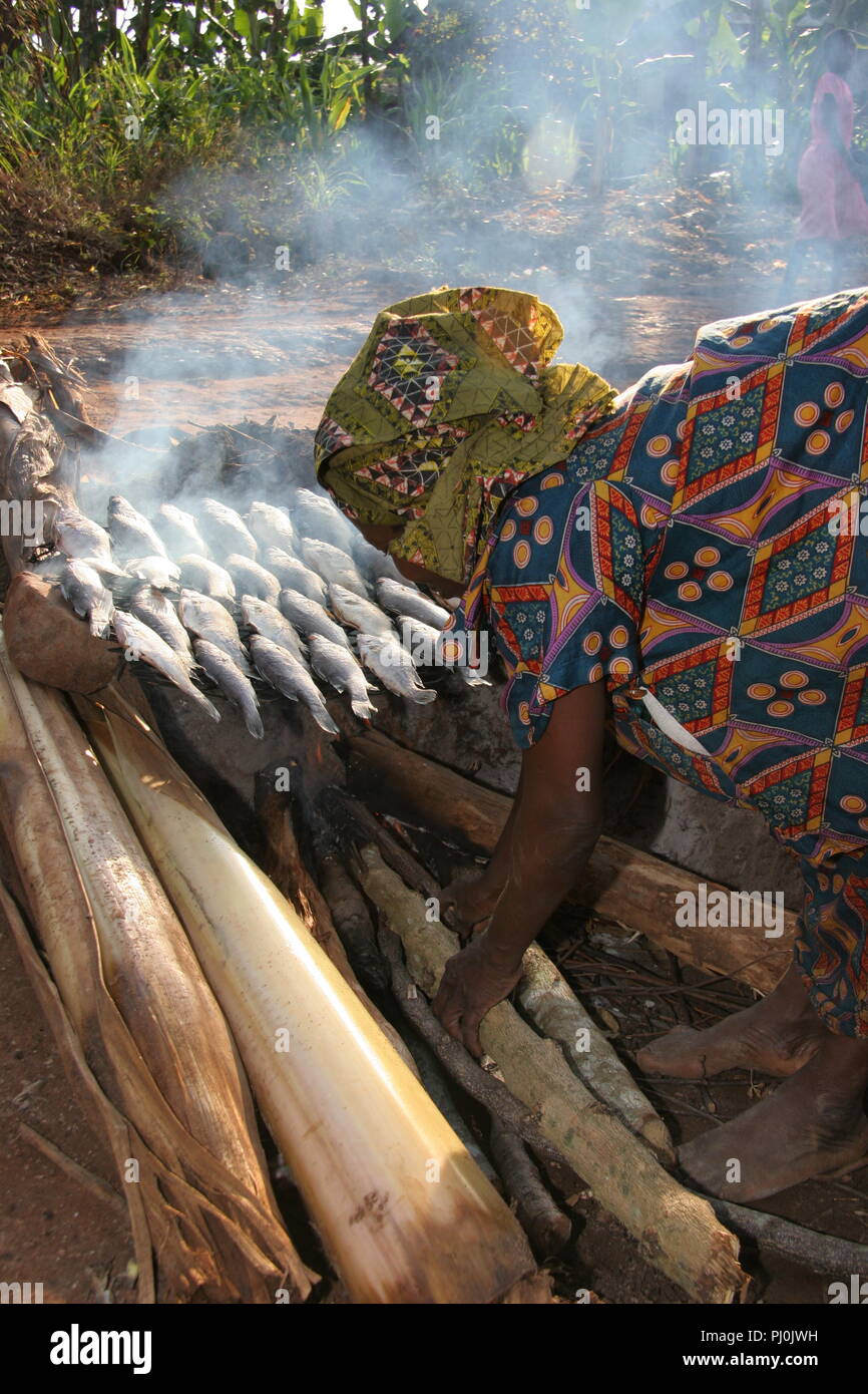 A woman curing Nile Perch fish to sell, by smoking them over a wood fire in Masaka district, Uganda. Stock Photo