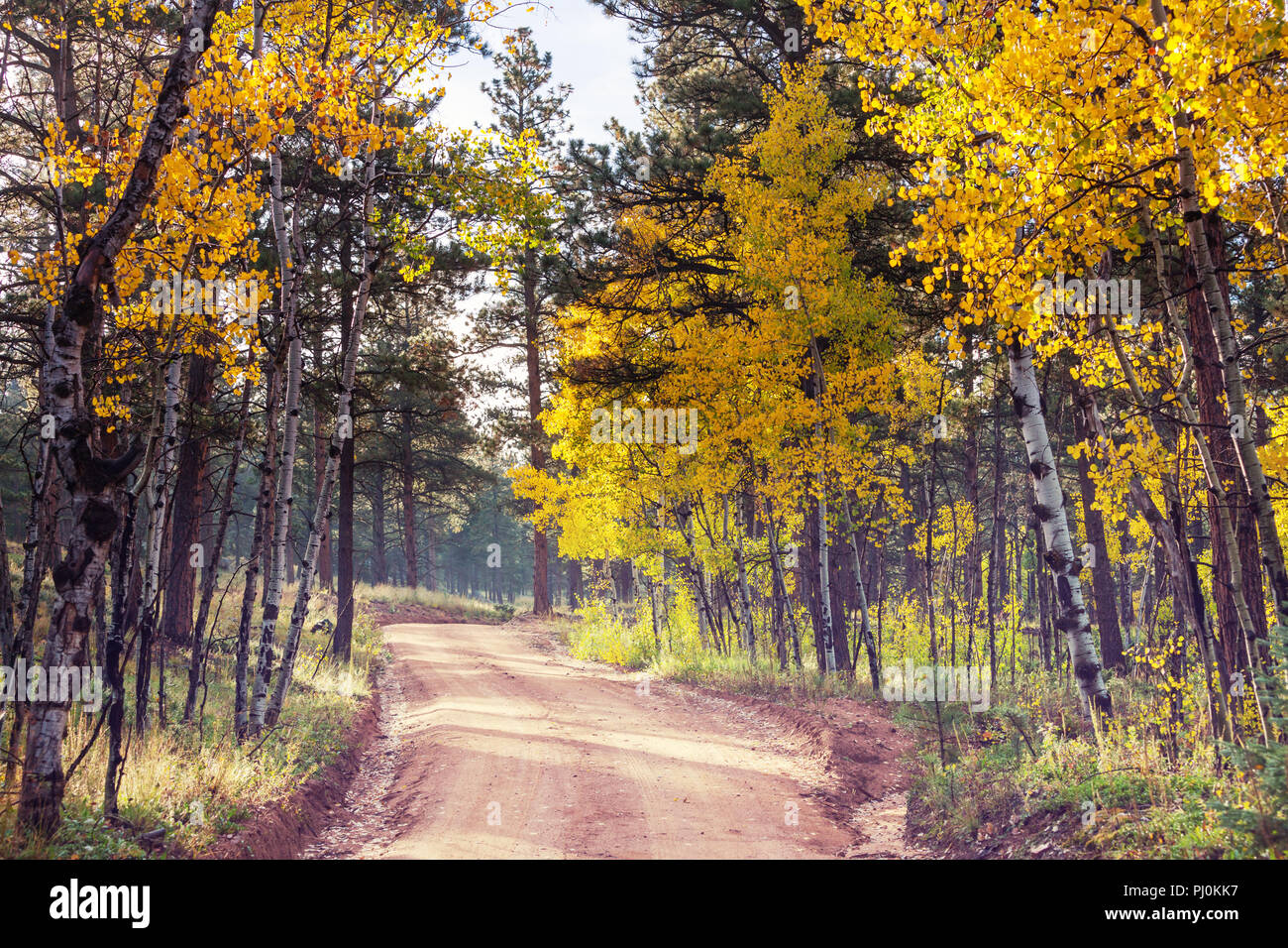 Colorful Autumn scene on countryside road in the sunny morning in