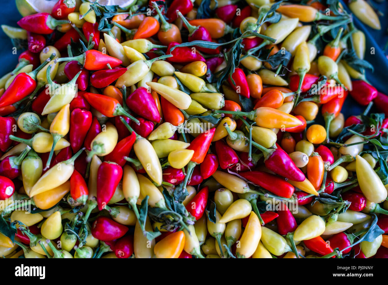 Multicolored capsicum frutescens in a market Stock Photo