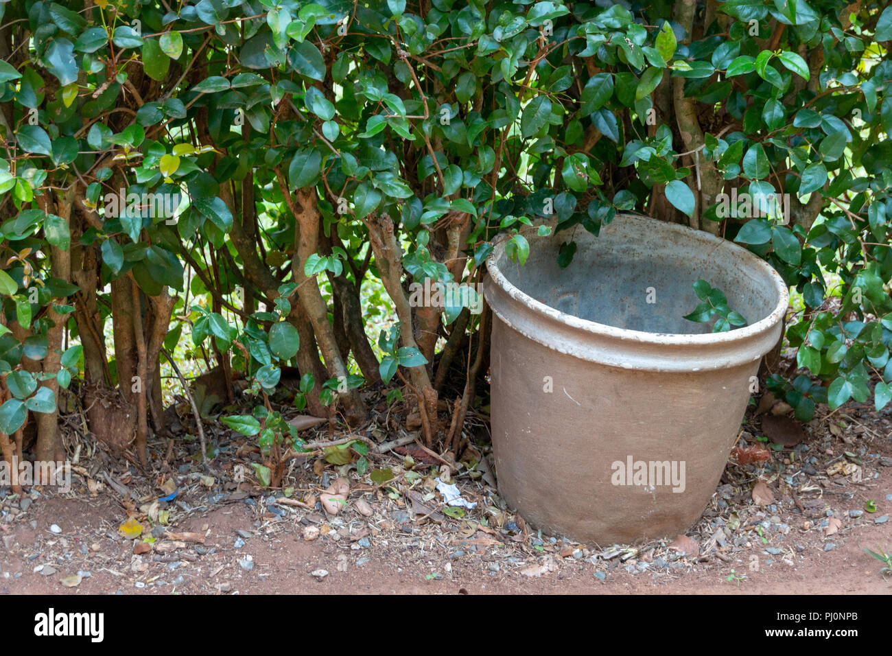 A large empty grey metal rusted pot next to a green hedge in a garden Stock Photo