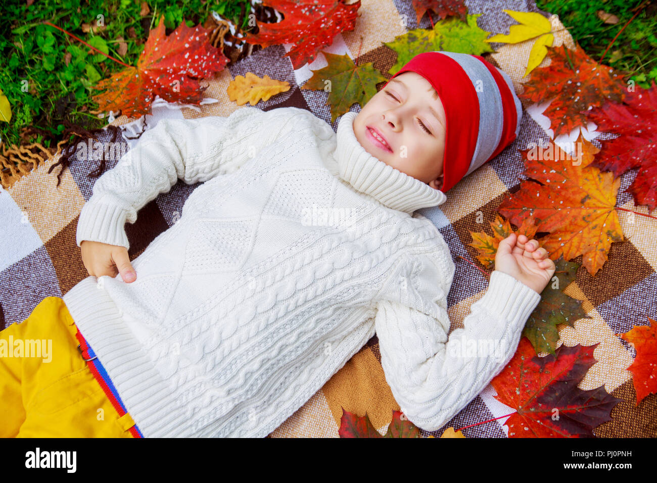 happy cute boy in the autumn park with green grass and yellow leaves ...