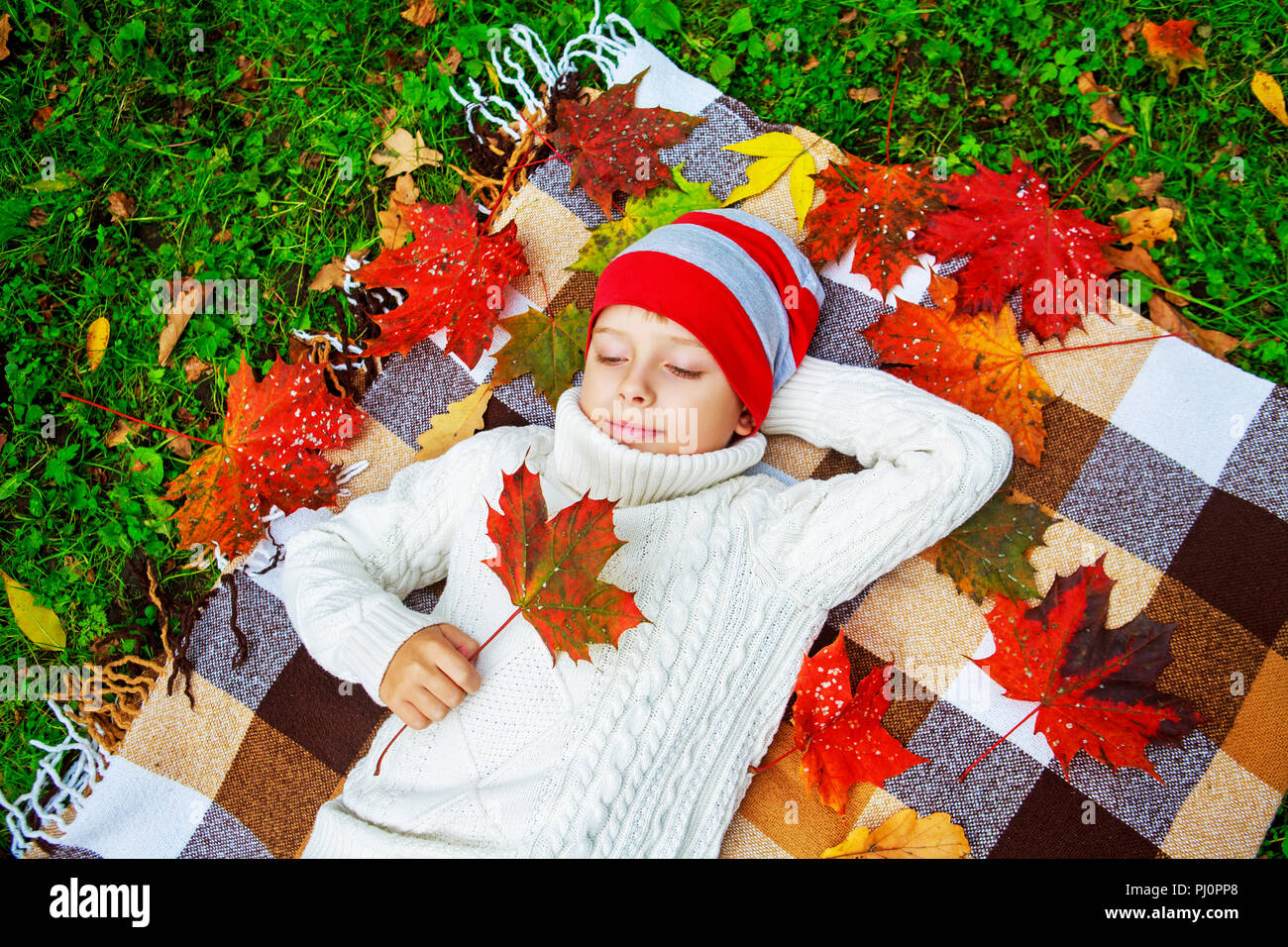 happy cute boy in the autumn park with green grass and yellow leaves ...