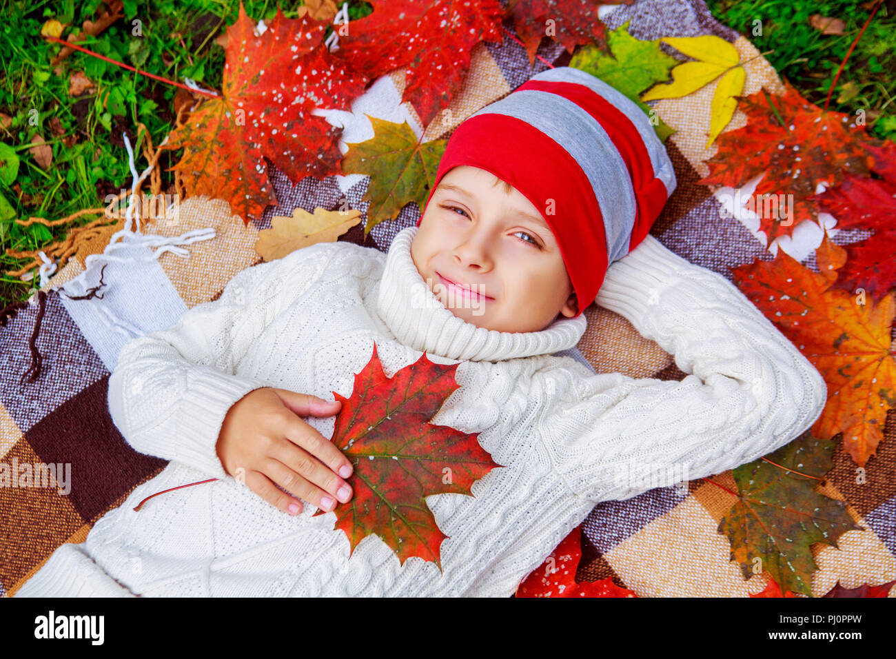 happy cute boy in the autumn park with green grass and yellow leaves ...