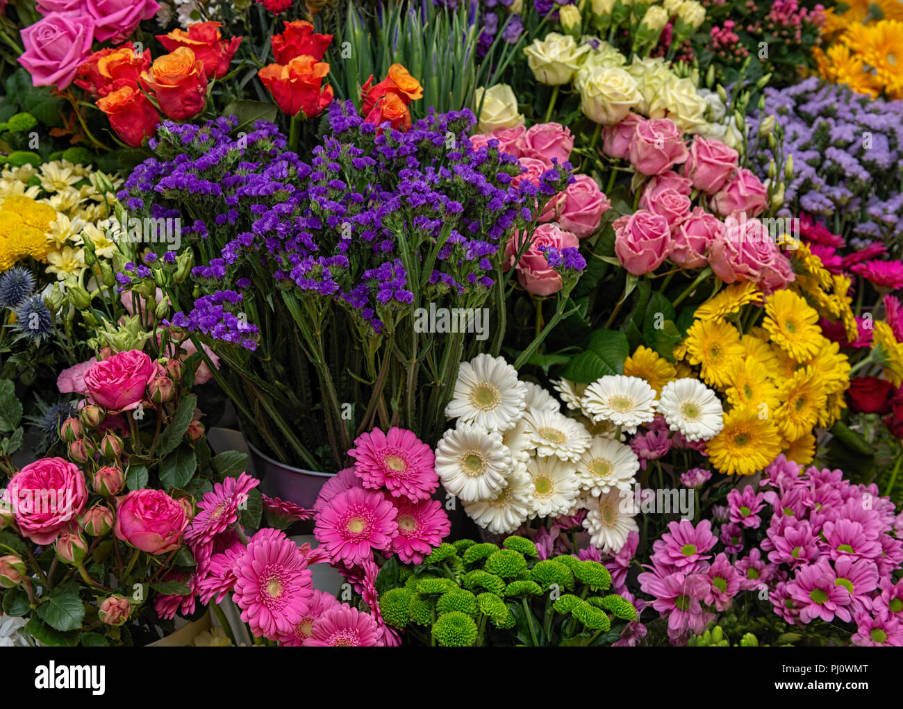 Colourful flowers hi-res stock photography and images - Alamy
