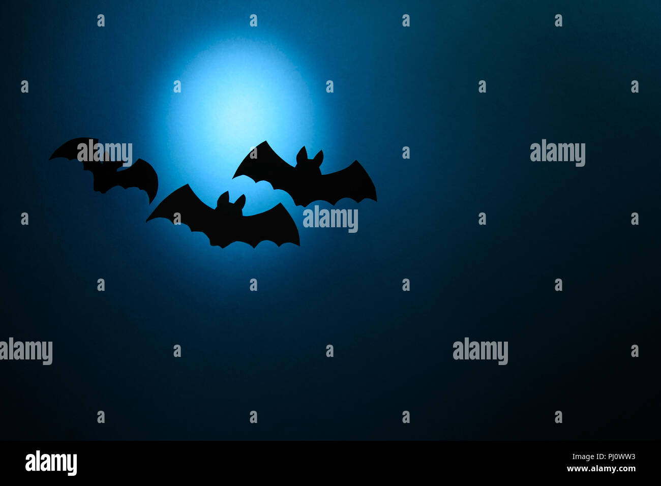 Black paper bats flying on dark blue background. Halloween concept. Paper cut style. Stock Photo