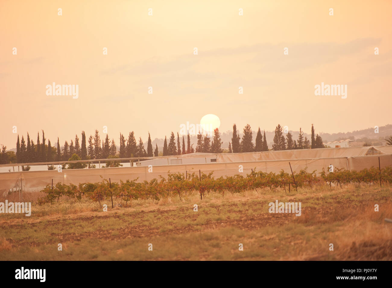 sunset in rural area, Middle east Stock Photo
