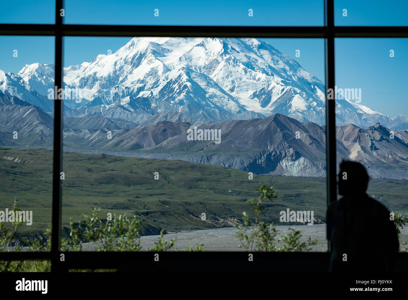 Silhouette of a man looking out the window at Denali (Mt McKinley) at Denali National Park and Preserve Stock Photo