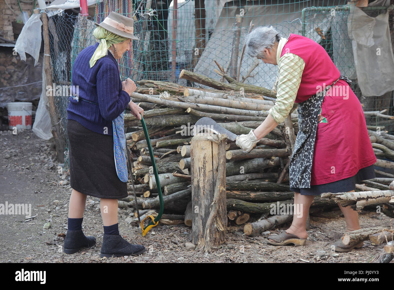 two senior italian women cutting wood in the countryside Stock Photo