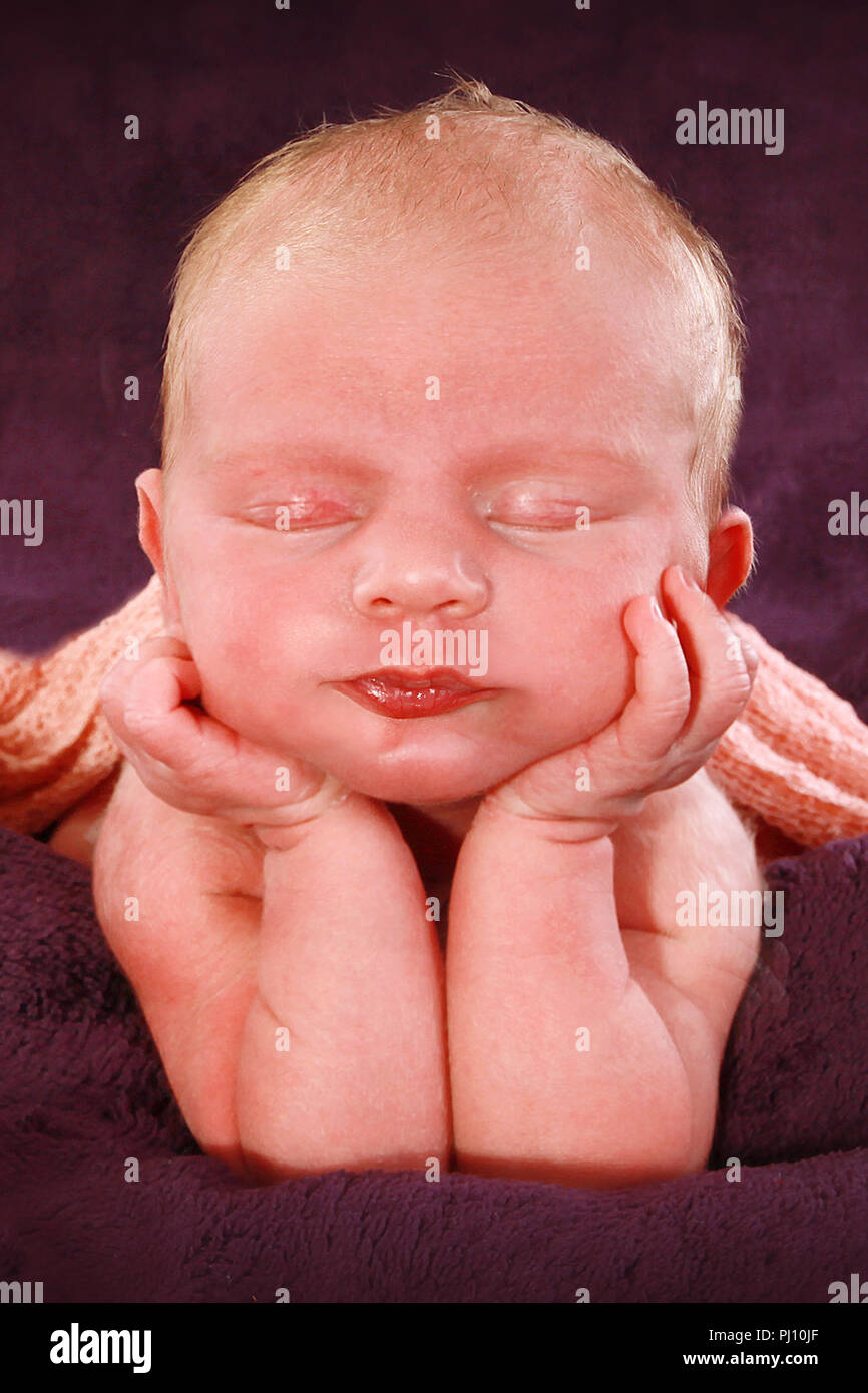 2 week old baby girl sleeping Stock Photo Alamy