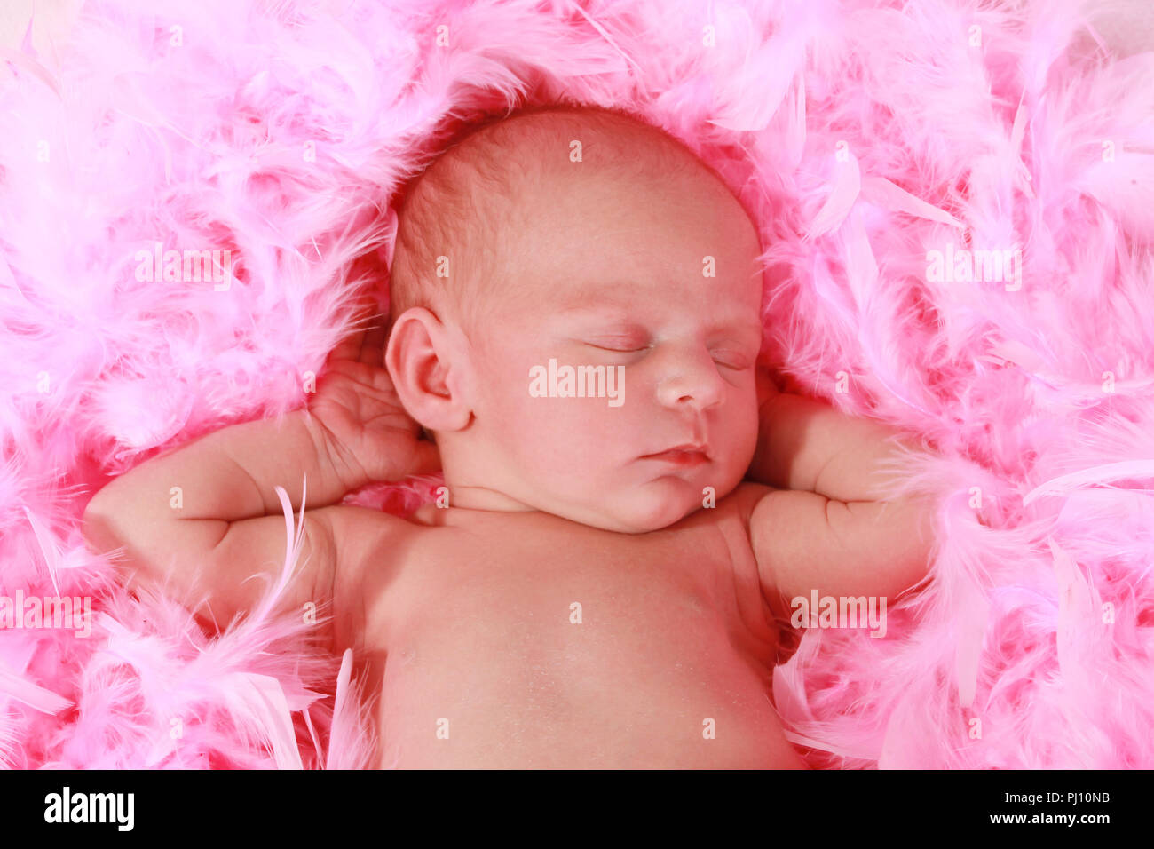 2 week old baby girl sleeping Stock Photo Alamy