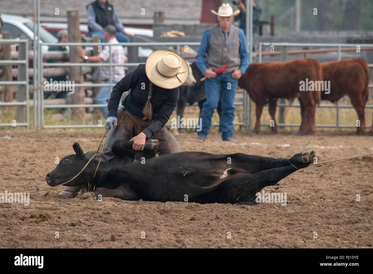 Ranch Hands compete in the mock branding competition during the ranch ...