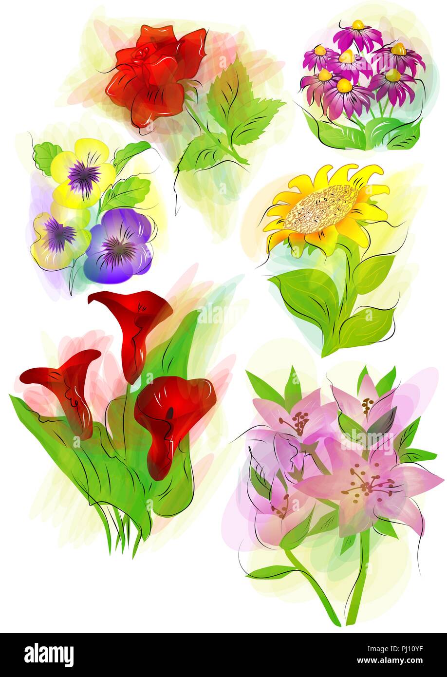 set of vector flowers isolated on white Stock Vector Image & Art - Alamy