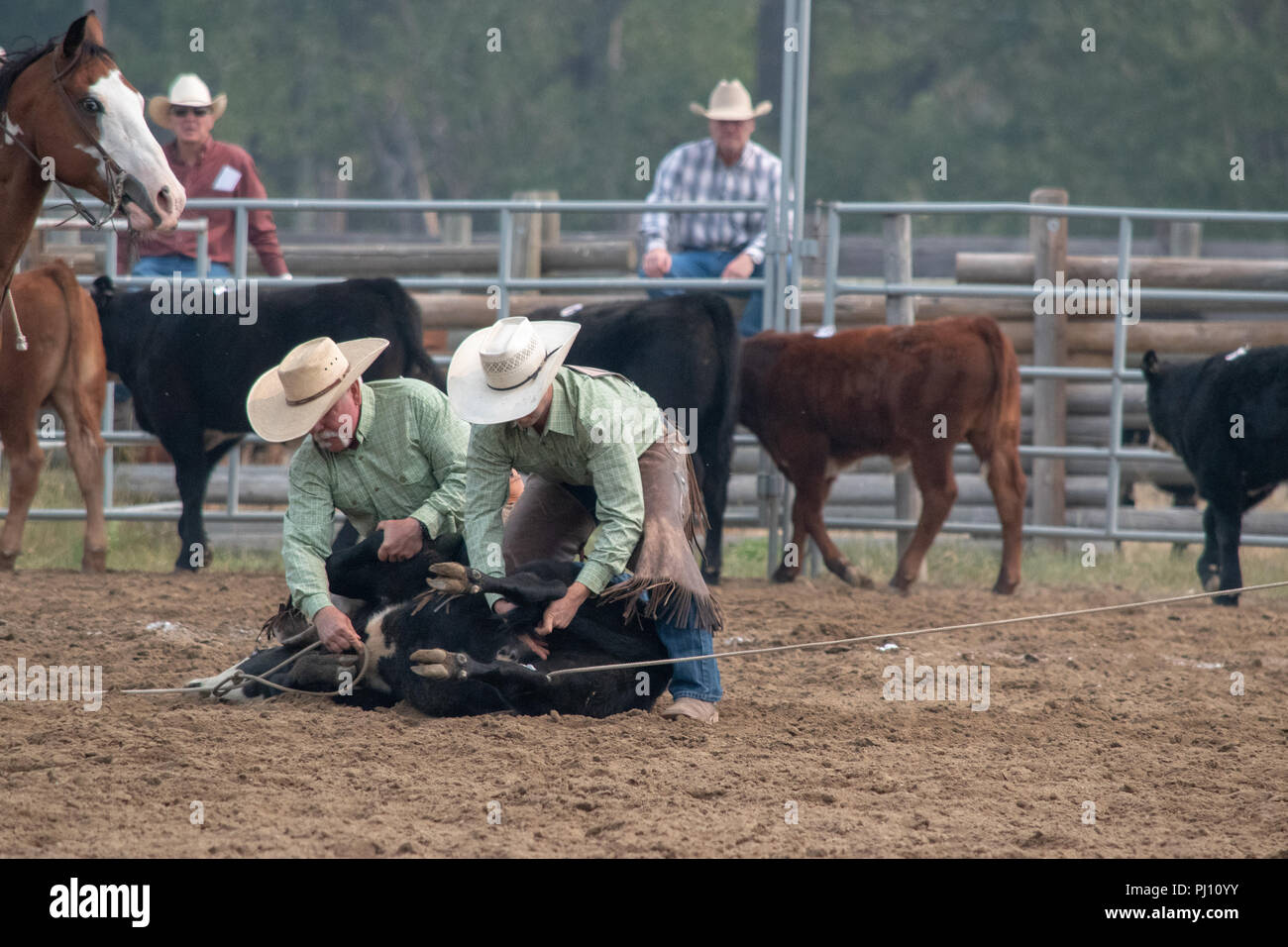 Ranch Hands compete in the mock branding competition during the ranch ...