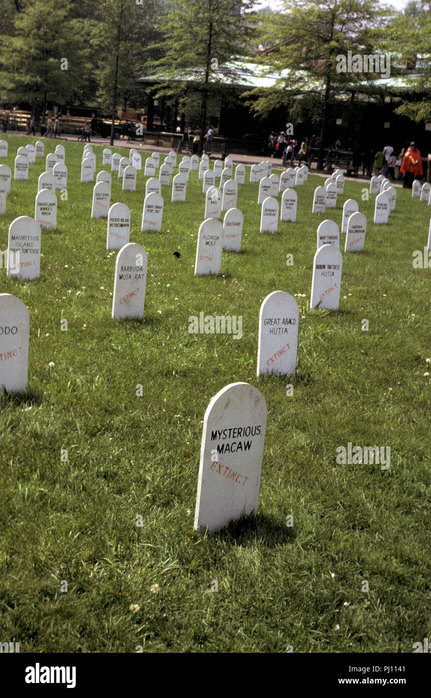 NOT C31637 EXTINCT ANIMAL GRAVEYARD Bronz Zoo Extinct Species Stock