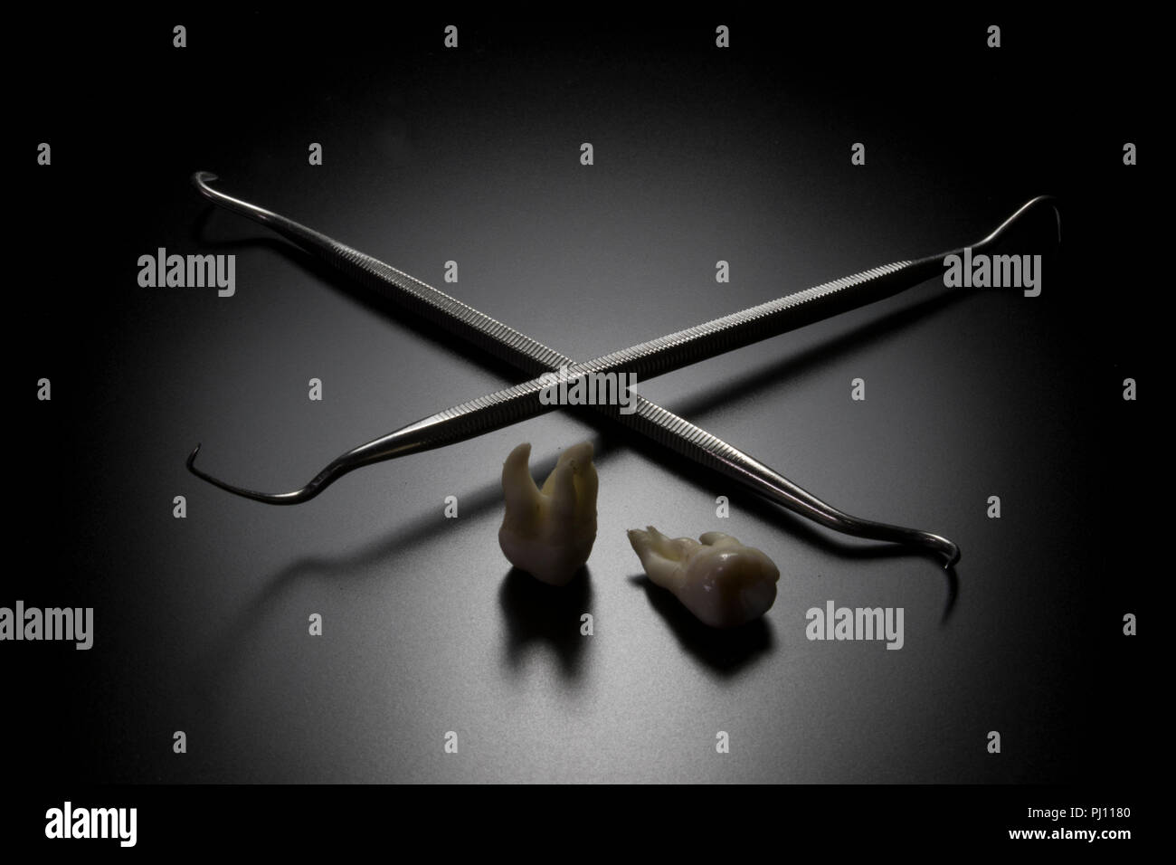 Dentist picks and teeth. Dental hygiene tools and extracted molar