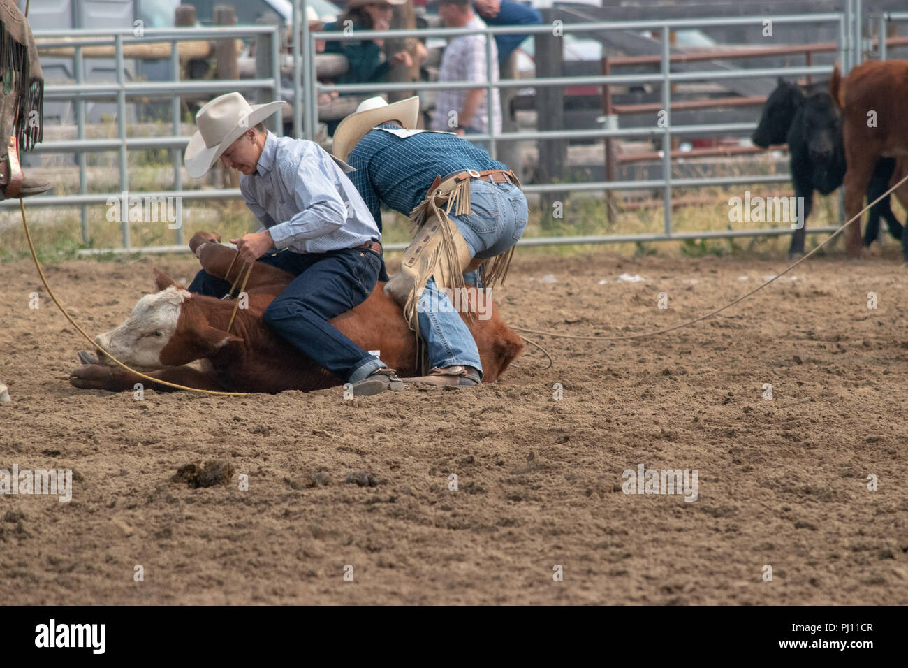 Ranch Hands compete in the mock branding competition during the ranch ...