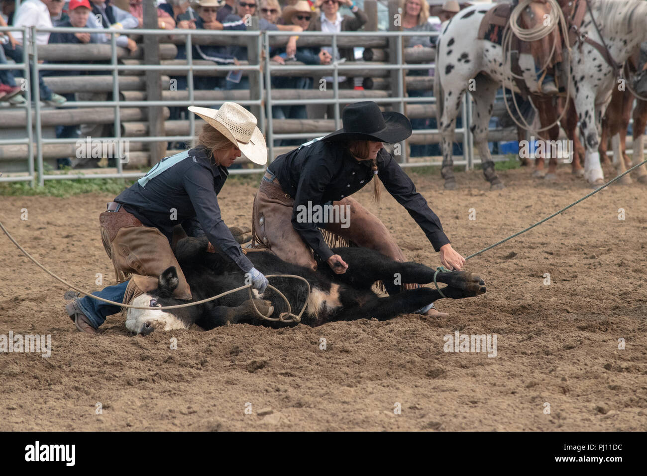 Ranch Hands compete in the mock branding competition during the ranch ...
