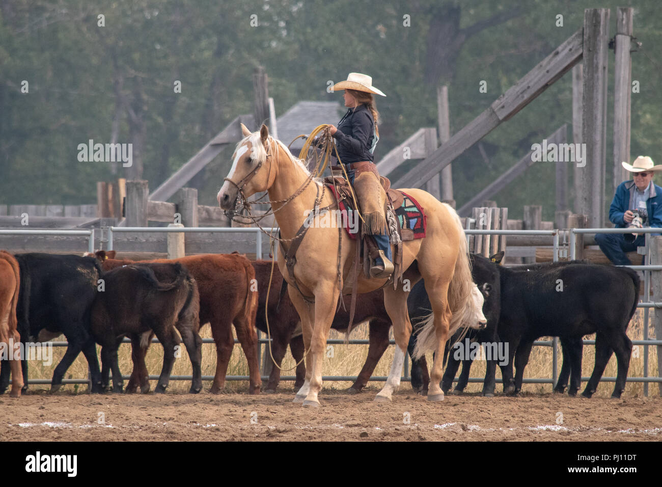 Ranch Hands compete in the mock branding competition during the ranch ...