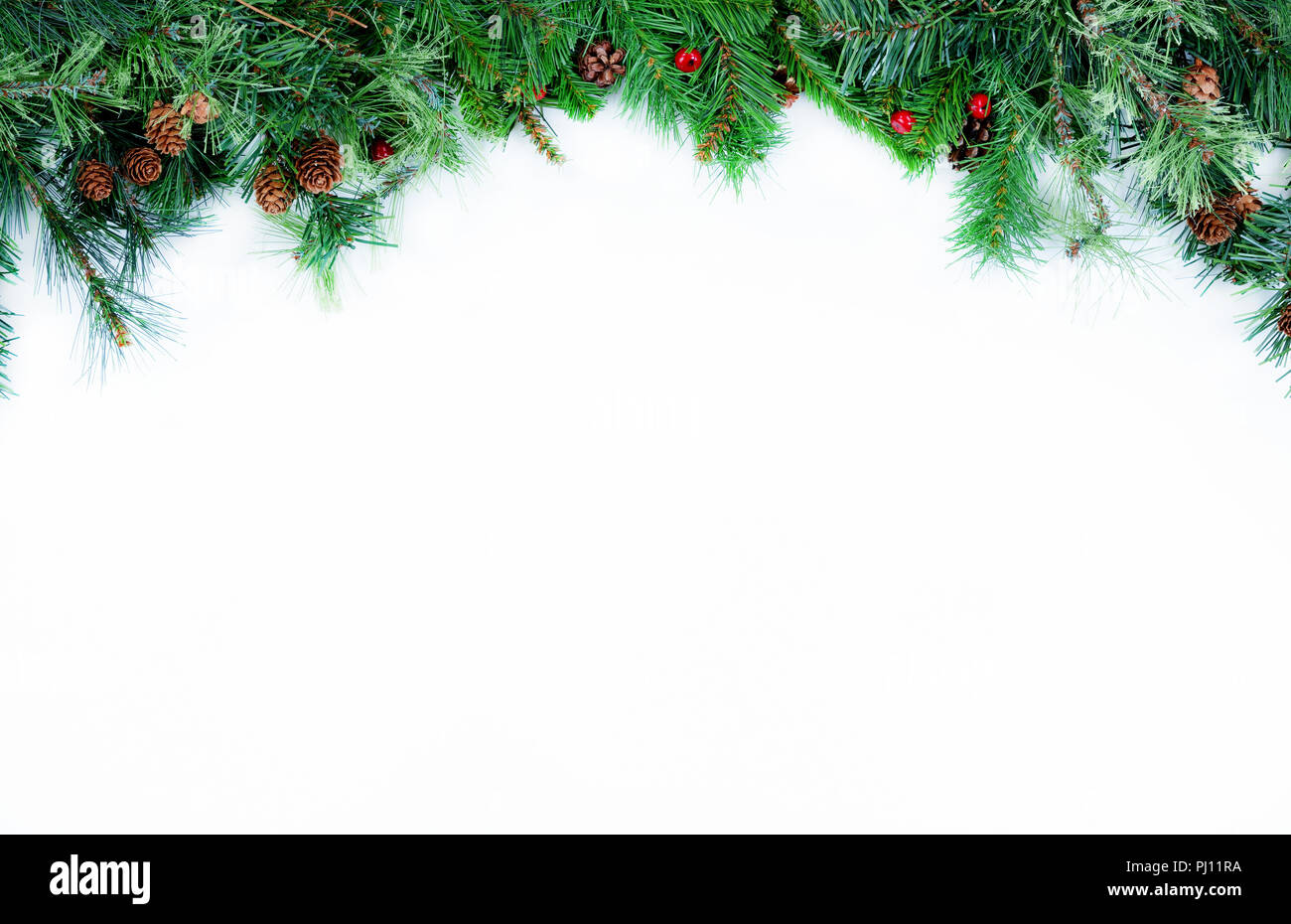 Christmas tree evergreen branches placed on top of a white background Stock Photo Alamy