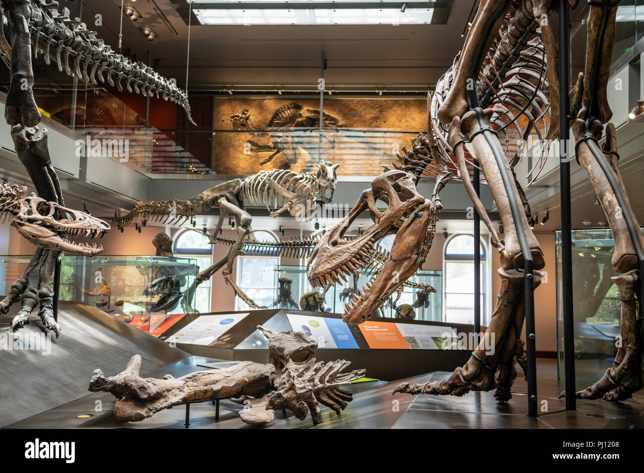 The Natural History Museum of Los Angeles County is the largest natural and historical museum in the western United States. Its collections include ne Stock Photo